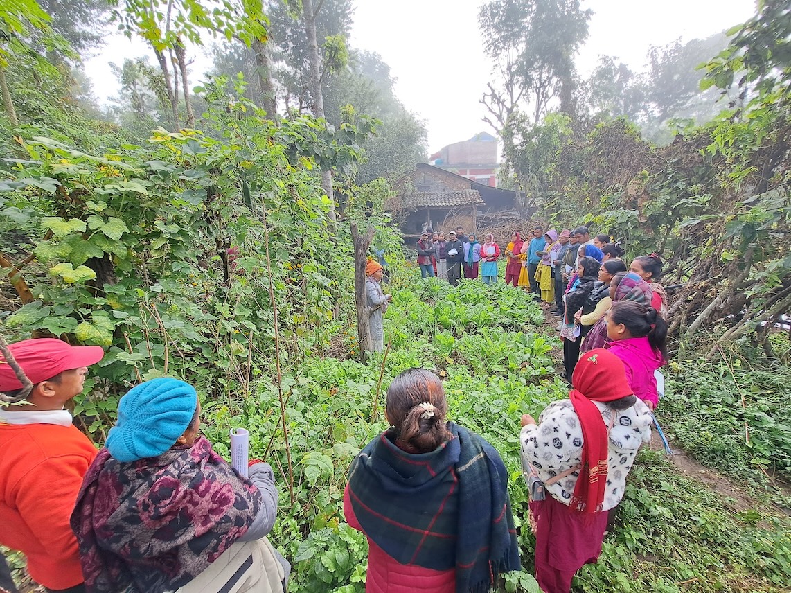 Creative Permaculture Learning
