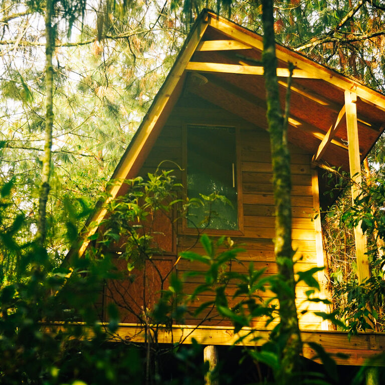 Glamping Amanita