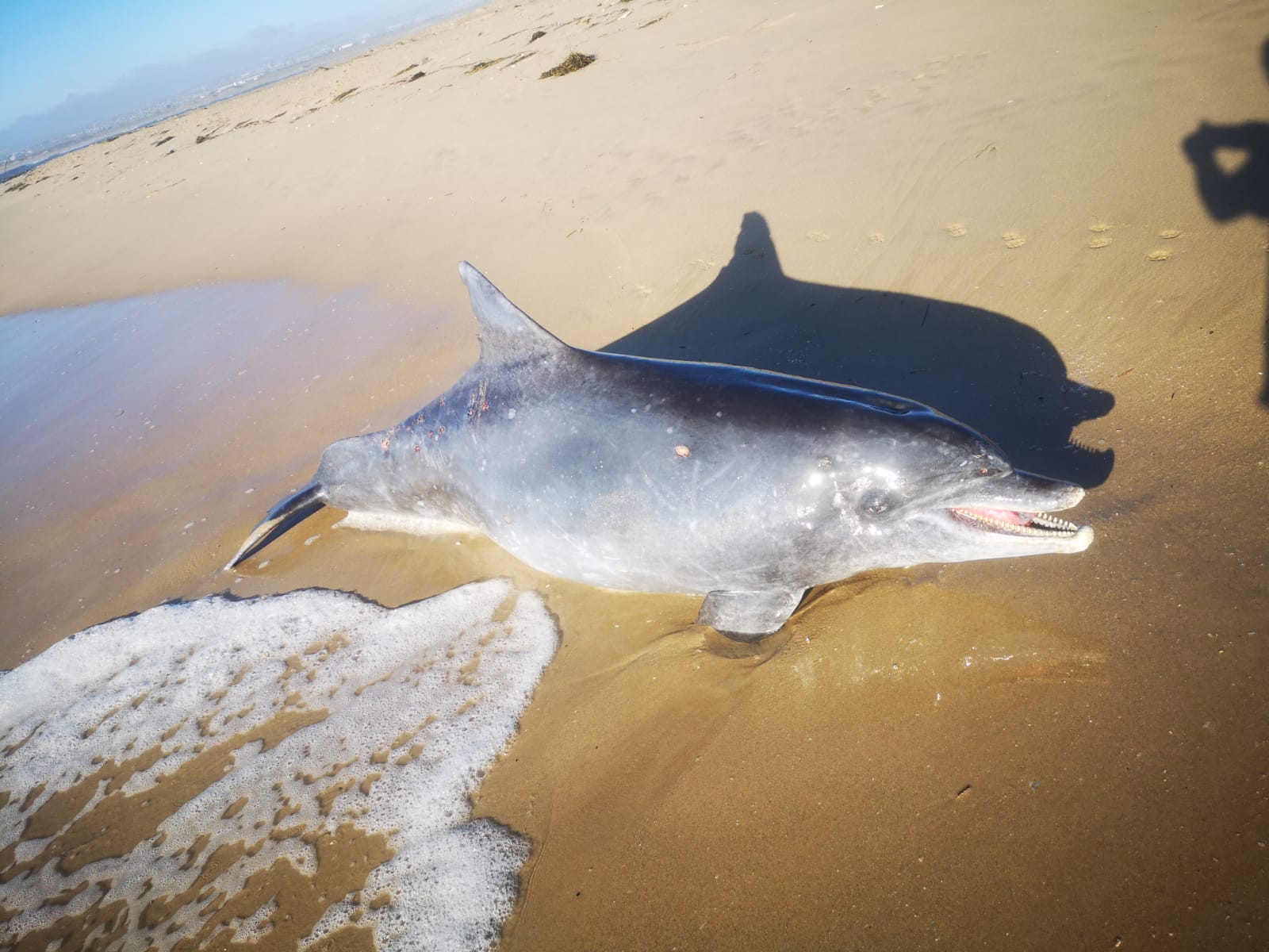 Sardinia Bay Marine Experience