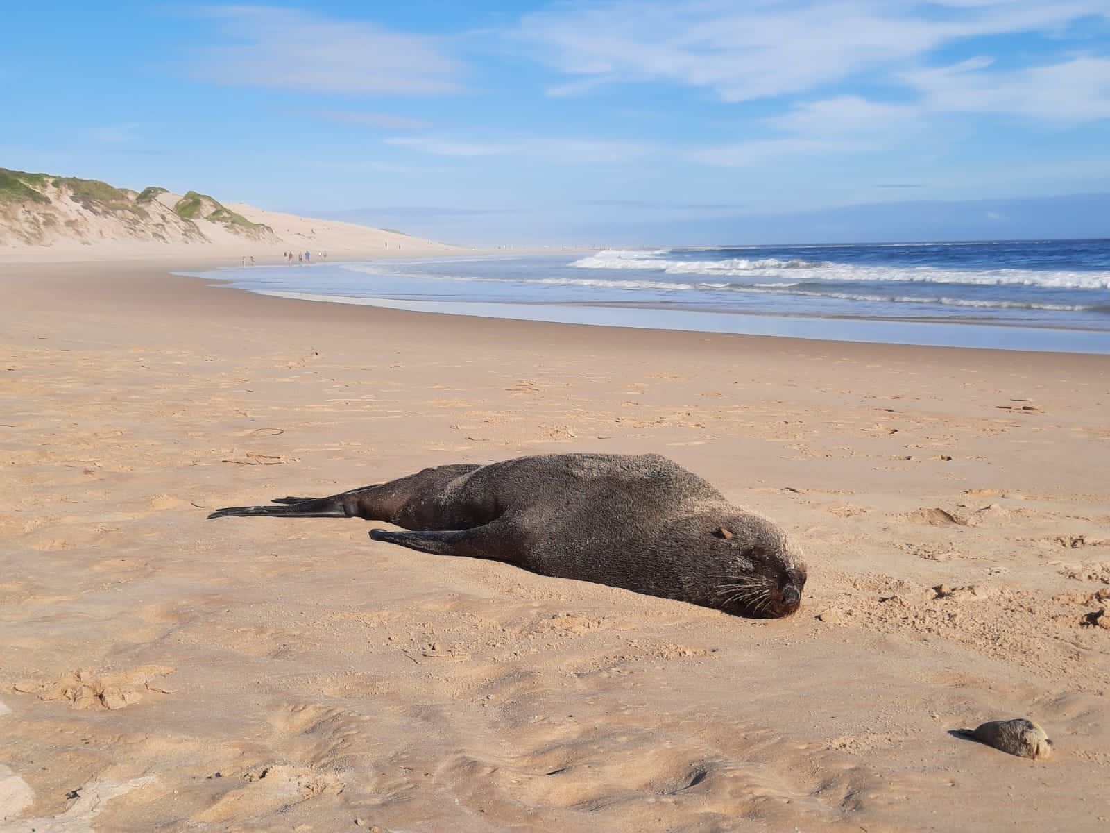 Sardinia Bay Marine Experience