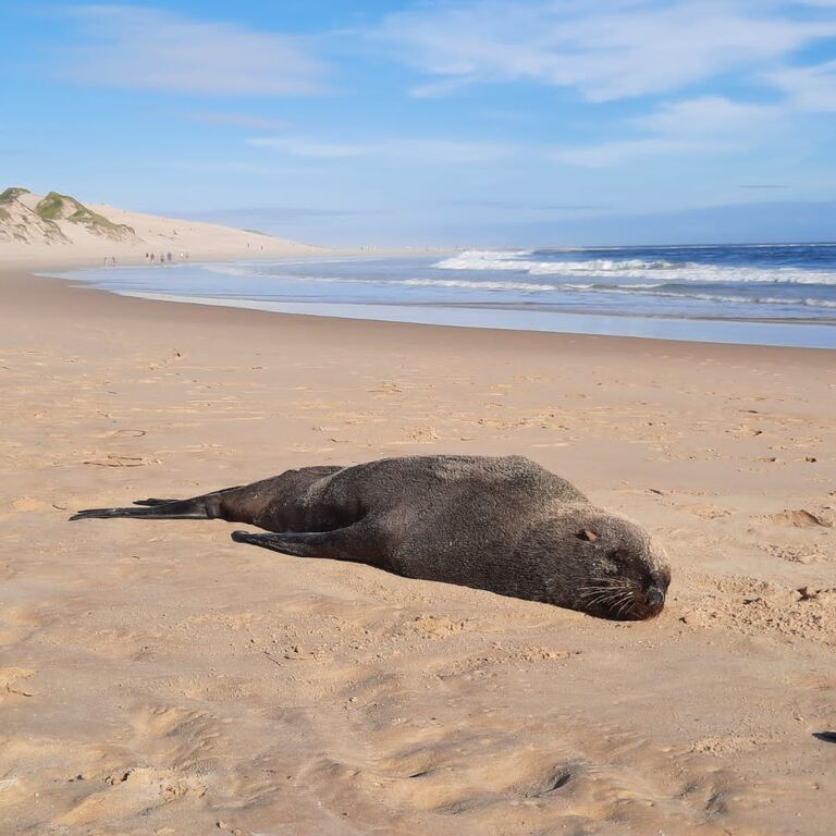 Sardinia Bay Marine Experience