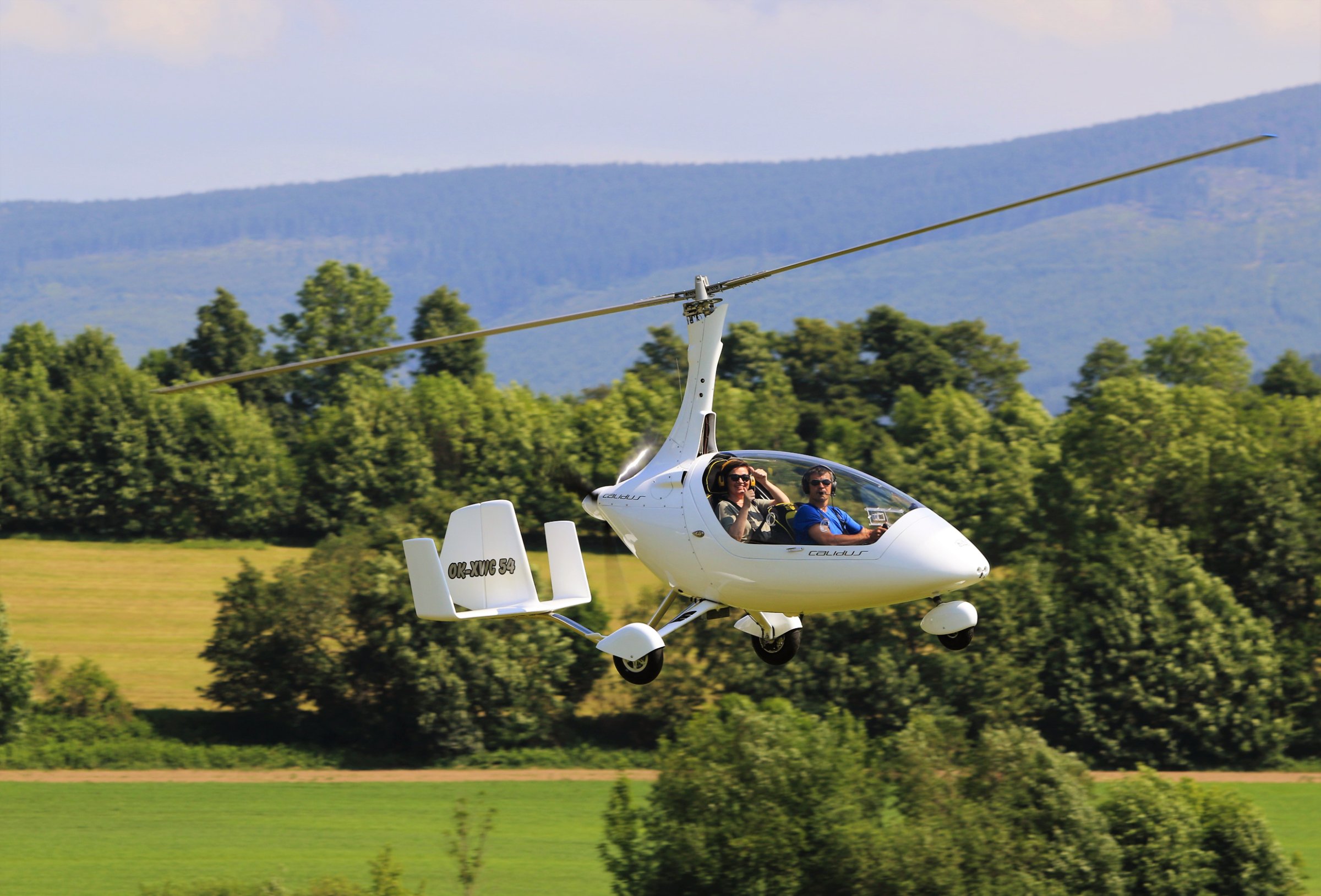 Yellow point, spol. s.r.o.