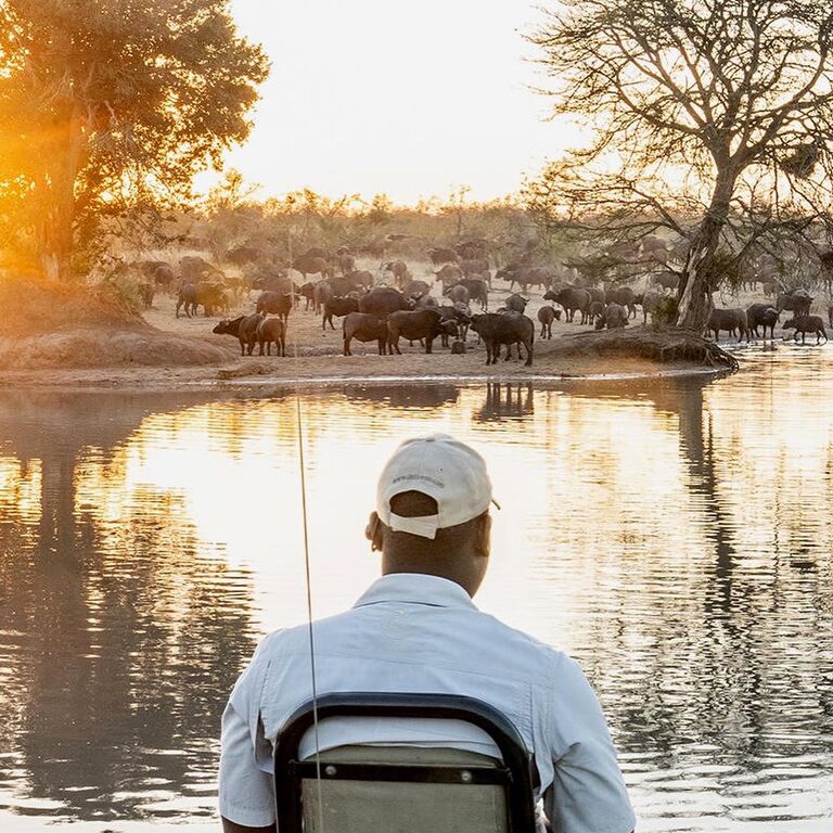 Love Africa Travel