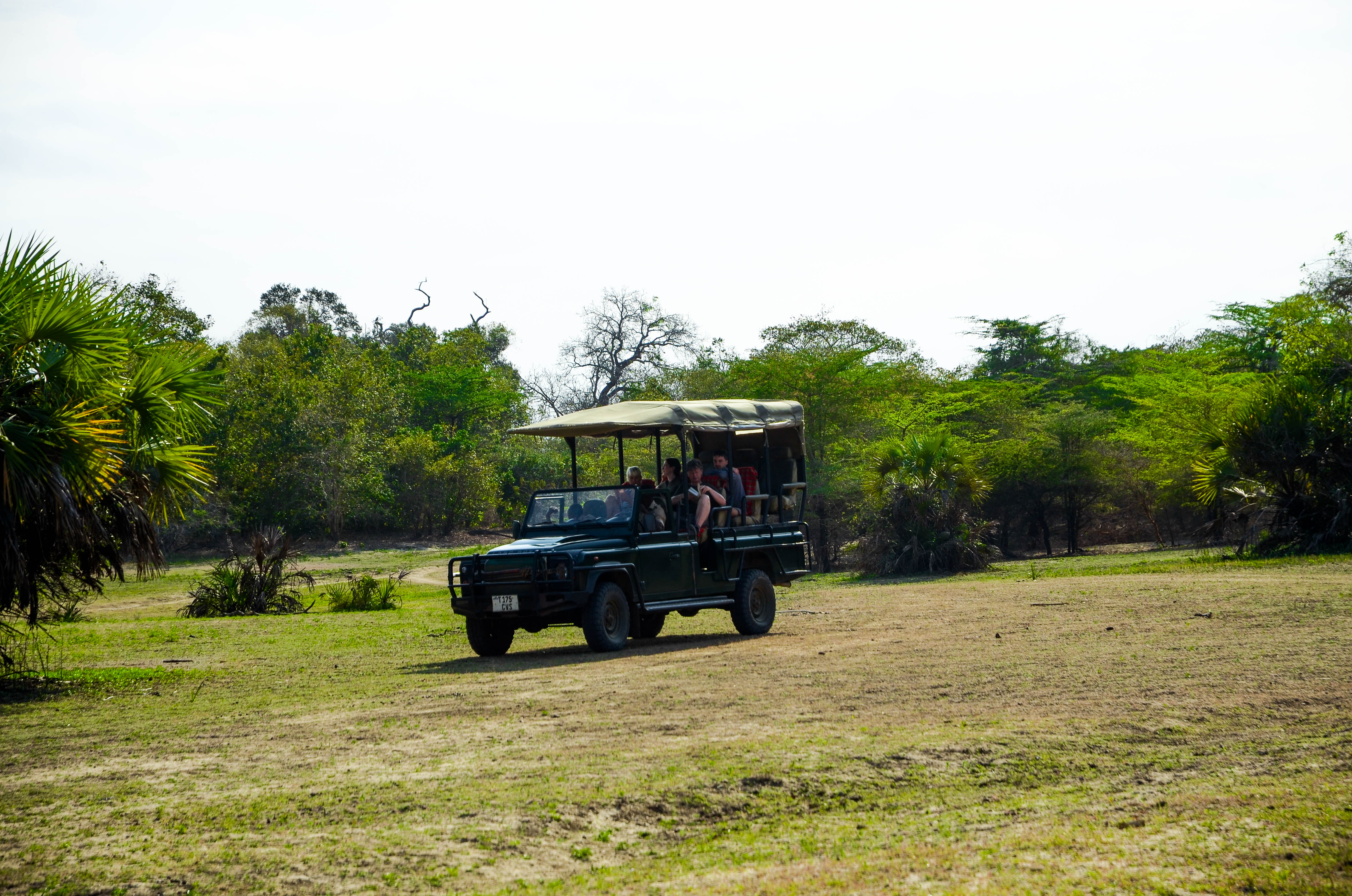 Pugu Hills Eco Cultural Touris