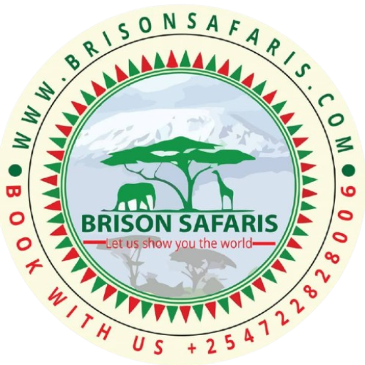 Brison Safaris