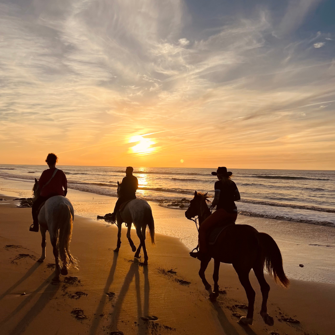 Essaouira Horseprints