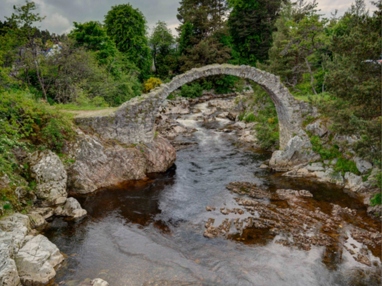 Grant Driving Tours; Scotland