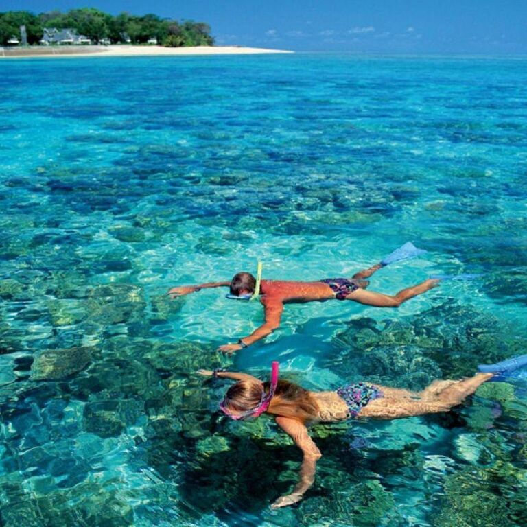 Snorkeling Turtle Release Tour