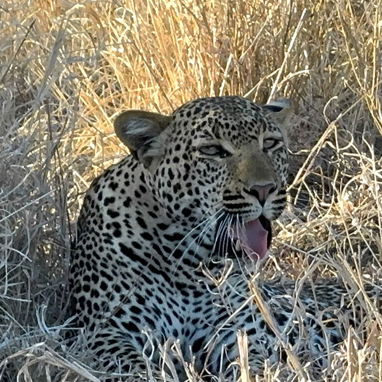 Kanuth   Adventure  Safaris