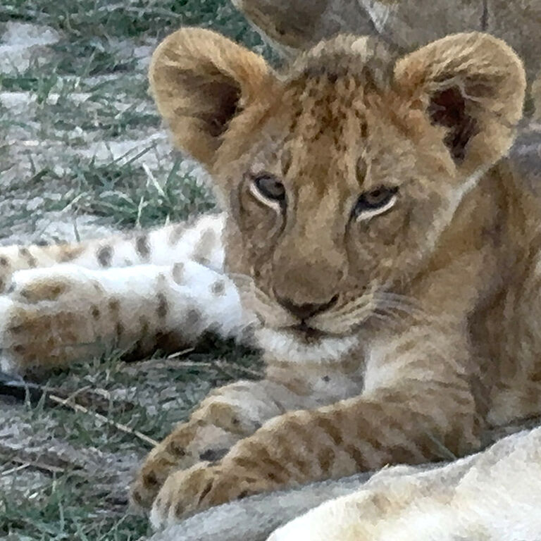 Kanuth   Adventure  Safaris