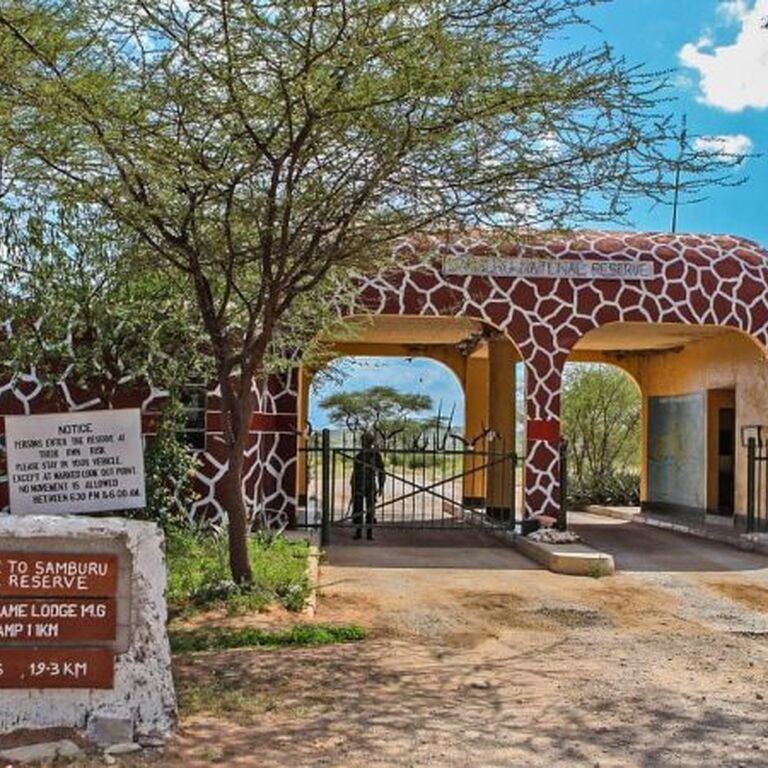 Safaris Talk Agency LTD