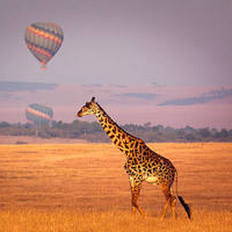 Safaris Talk Agency LTD