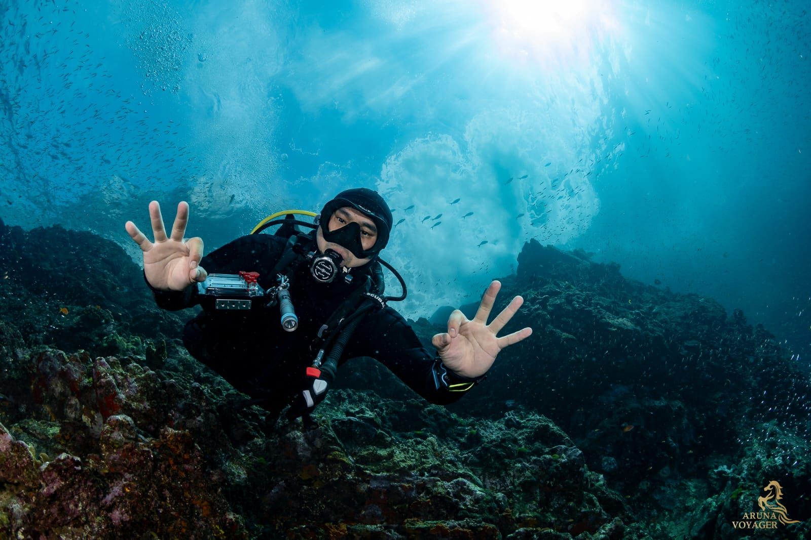 Pattaya Scuba Club