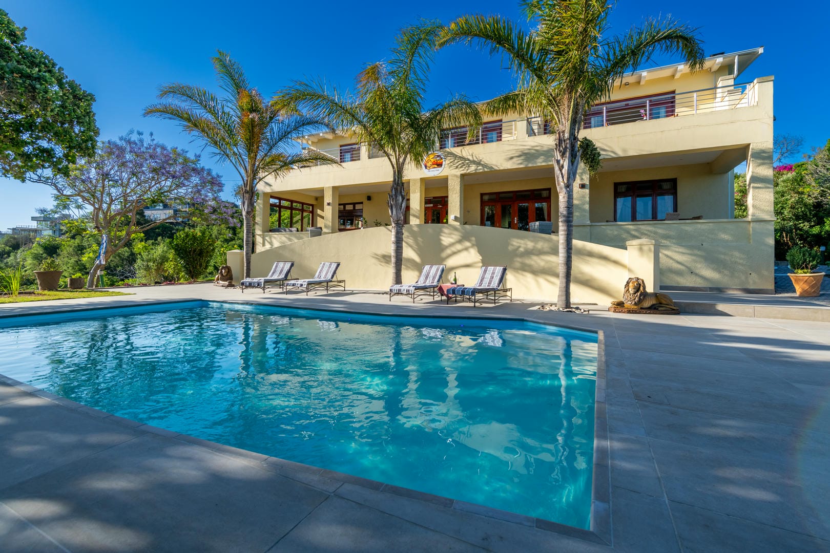 Guesthouse The Lazy Lion