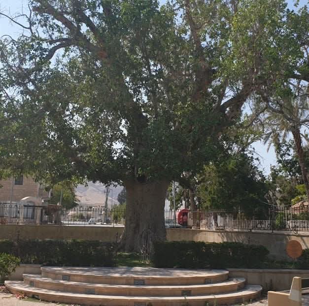 Russian museum park complex