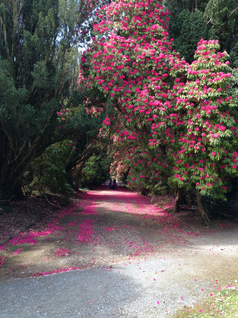 Johns Tours of Ireland