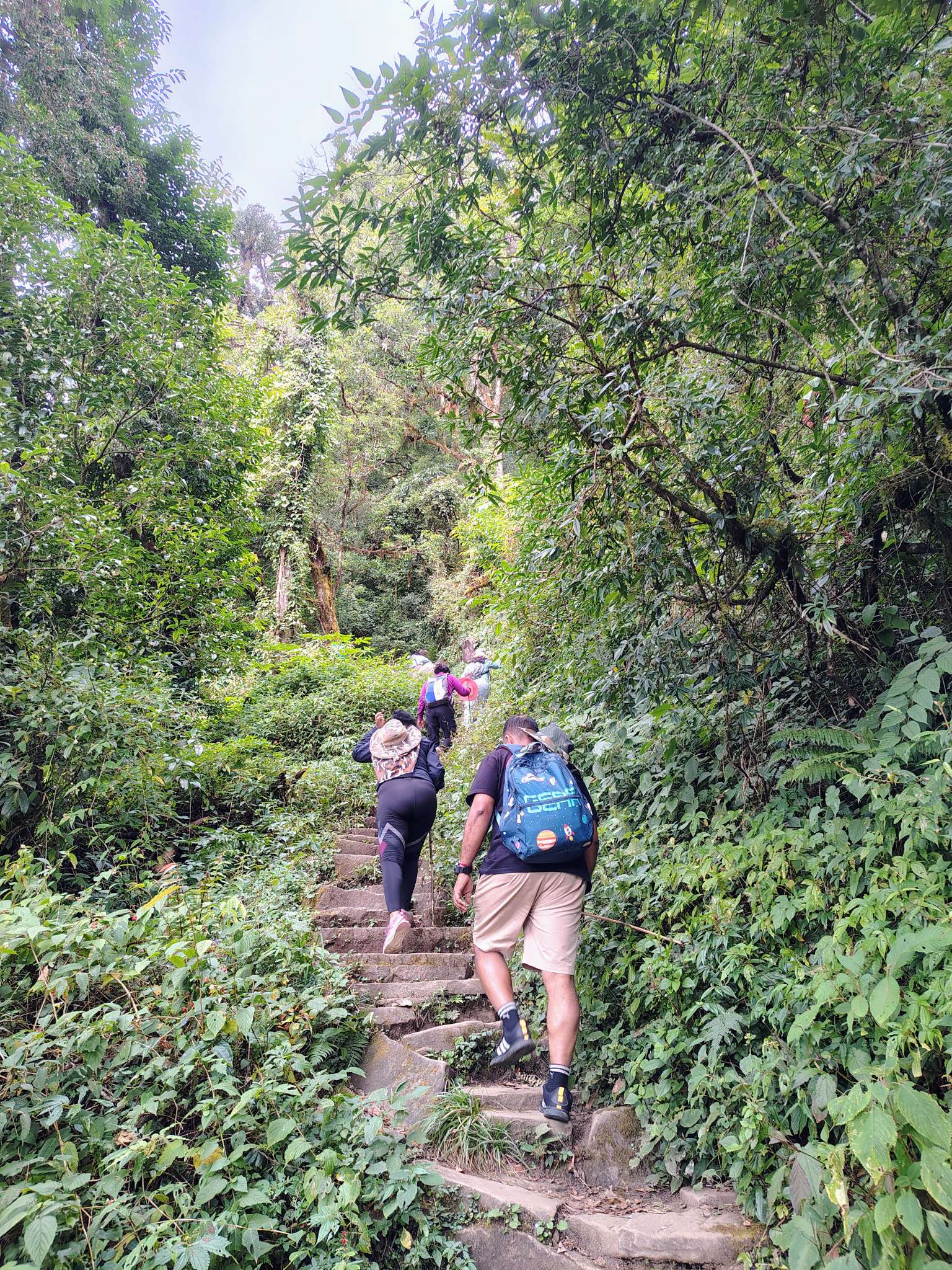 Nomadic Tales & Trails