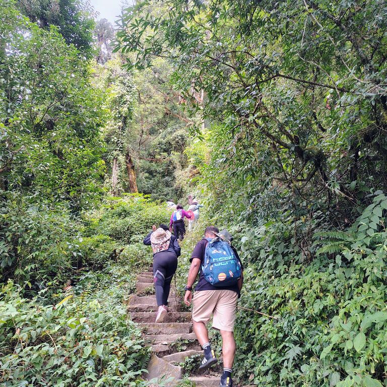 Nomadic Tales & Trails