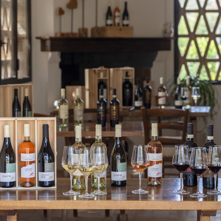 Tenuta Sovestro