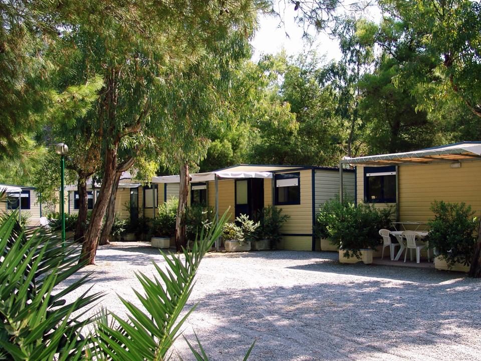 International Camping Village
