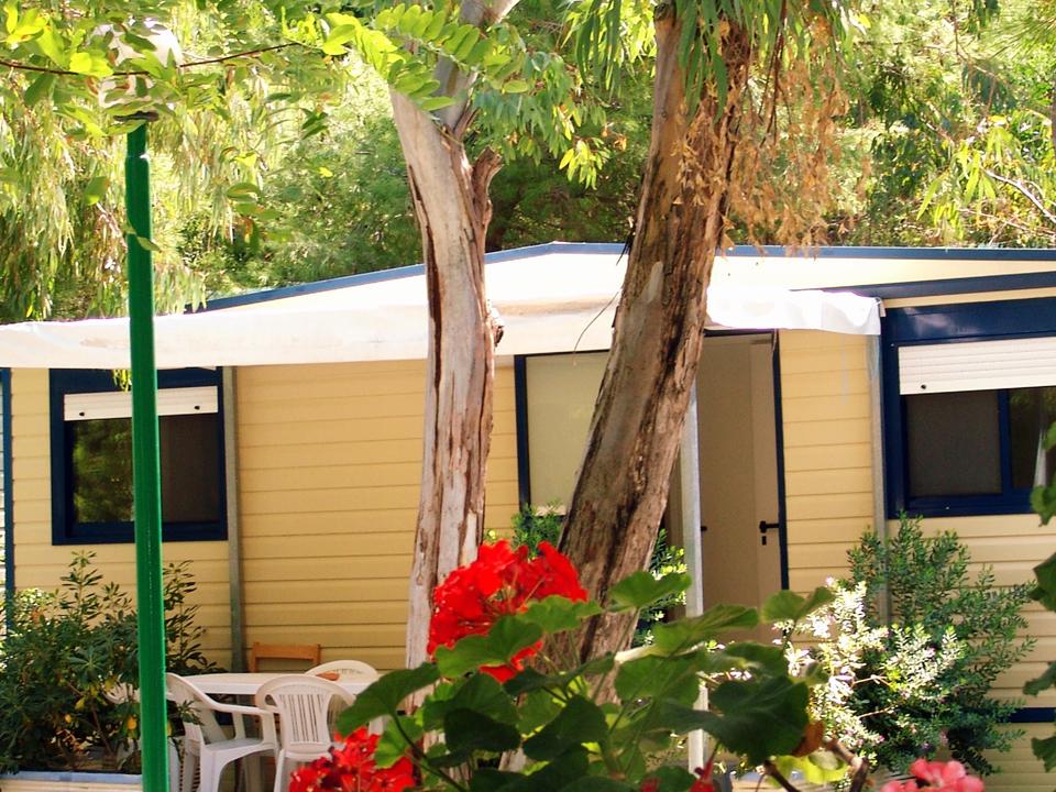 International Camping Village