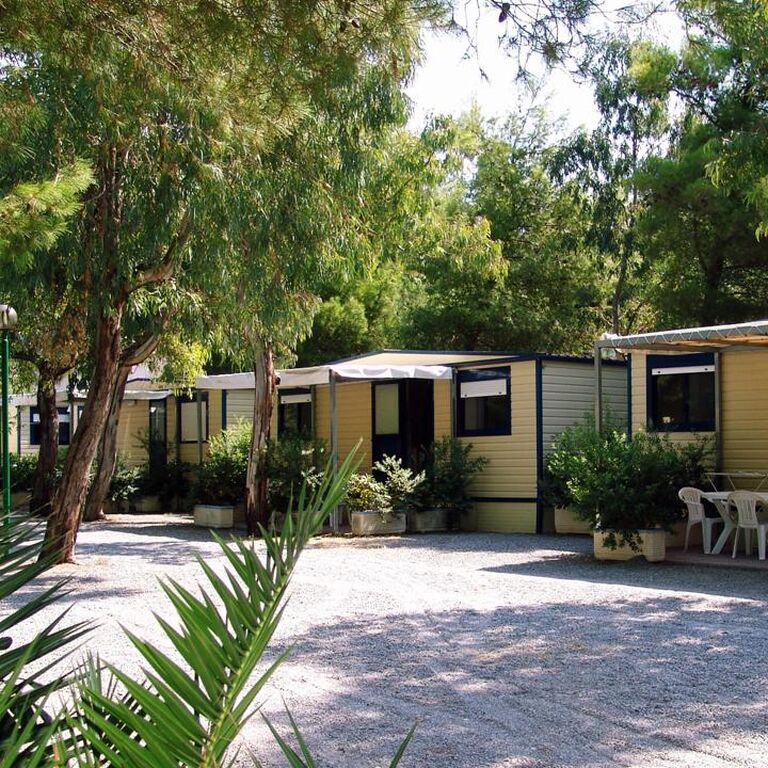 International Camping Village