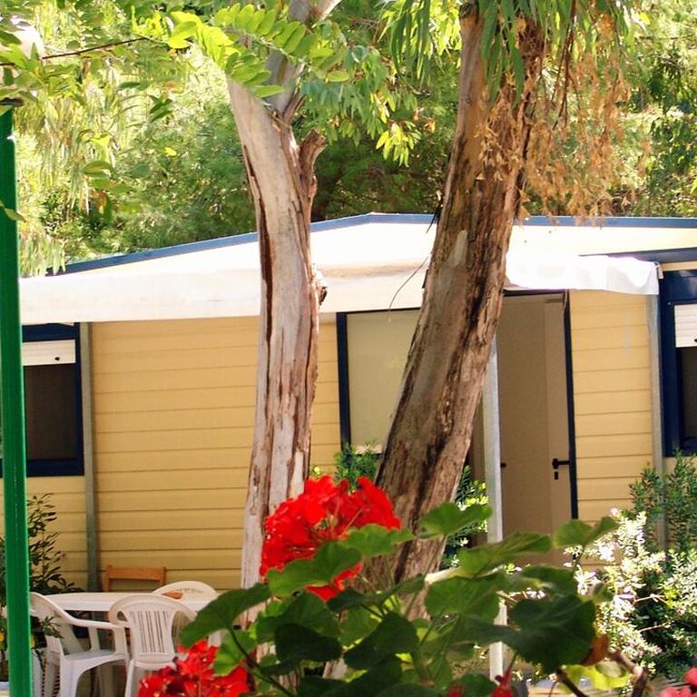 International Camping Village