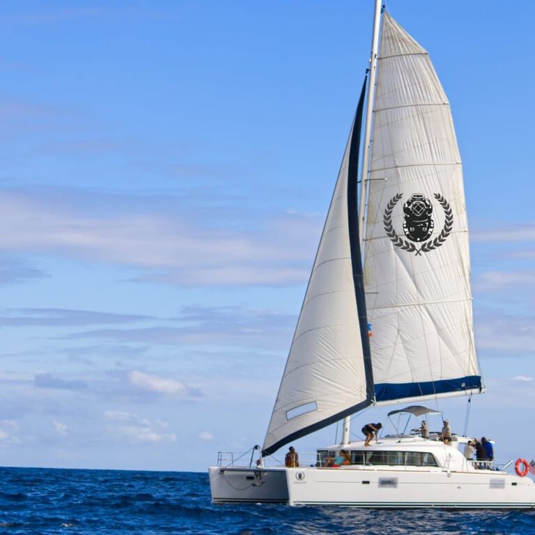 Calypso Charters
