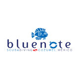 Blue Note Scuba
