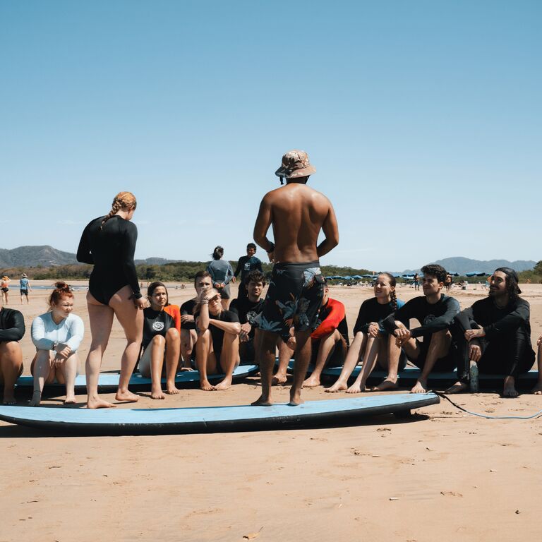 Iguana Surf