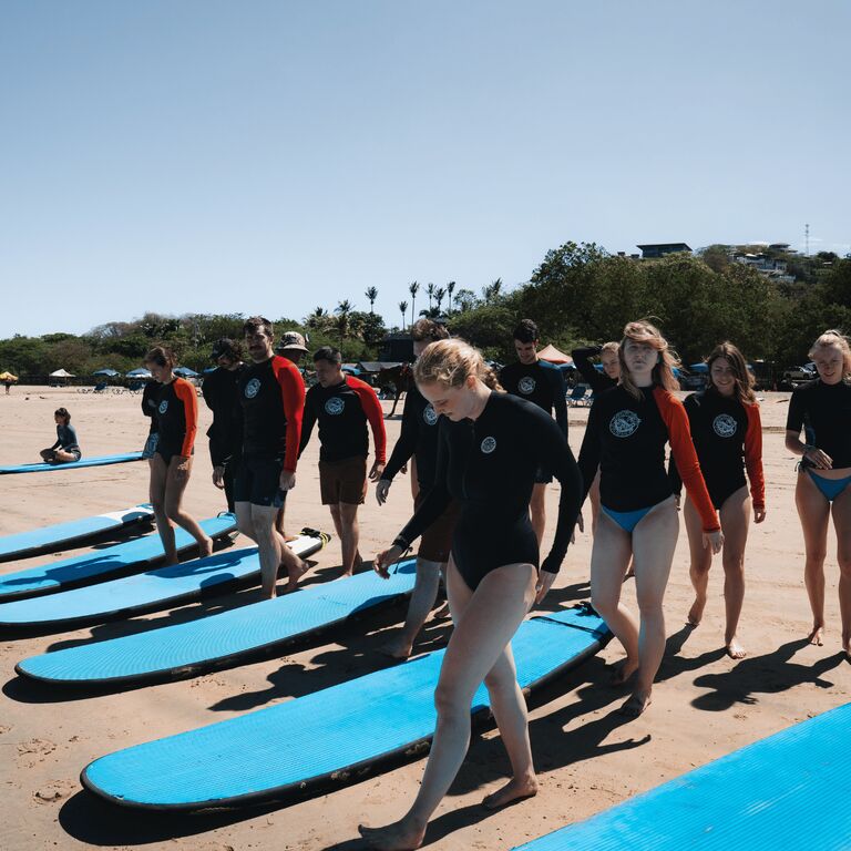 Iguana Surf