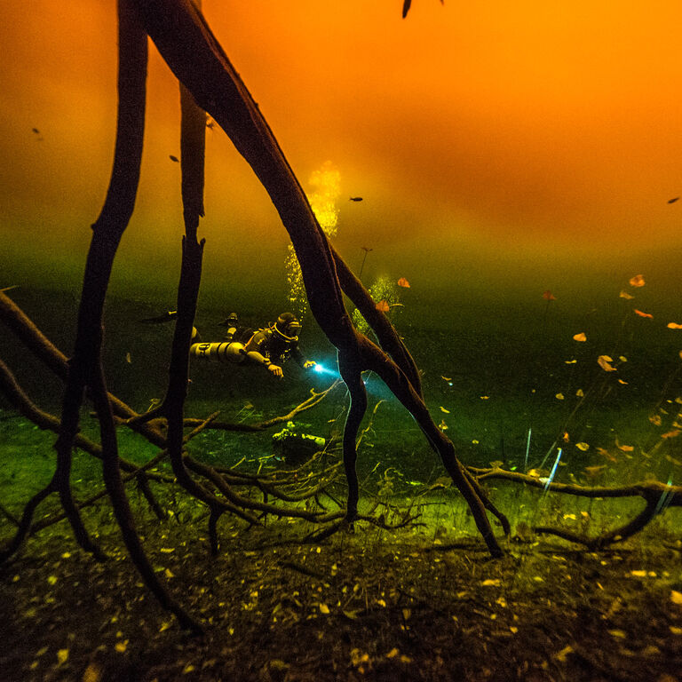 divingcenotesplaya