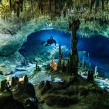 divingcenotesplaya