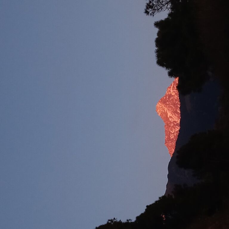 Sharad Sharma