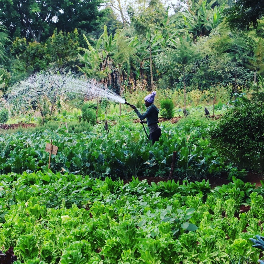Mlango Farm ecovillage