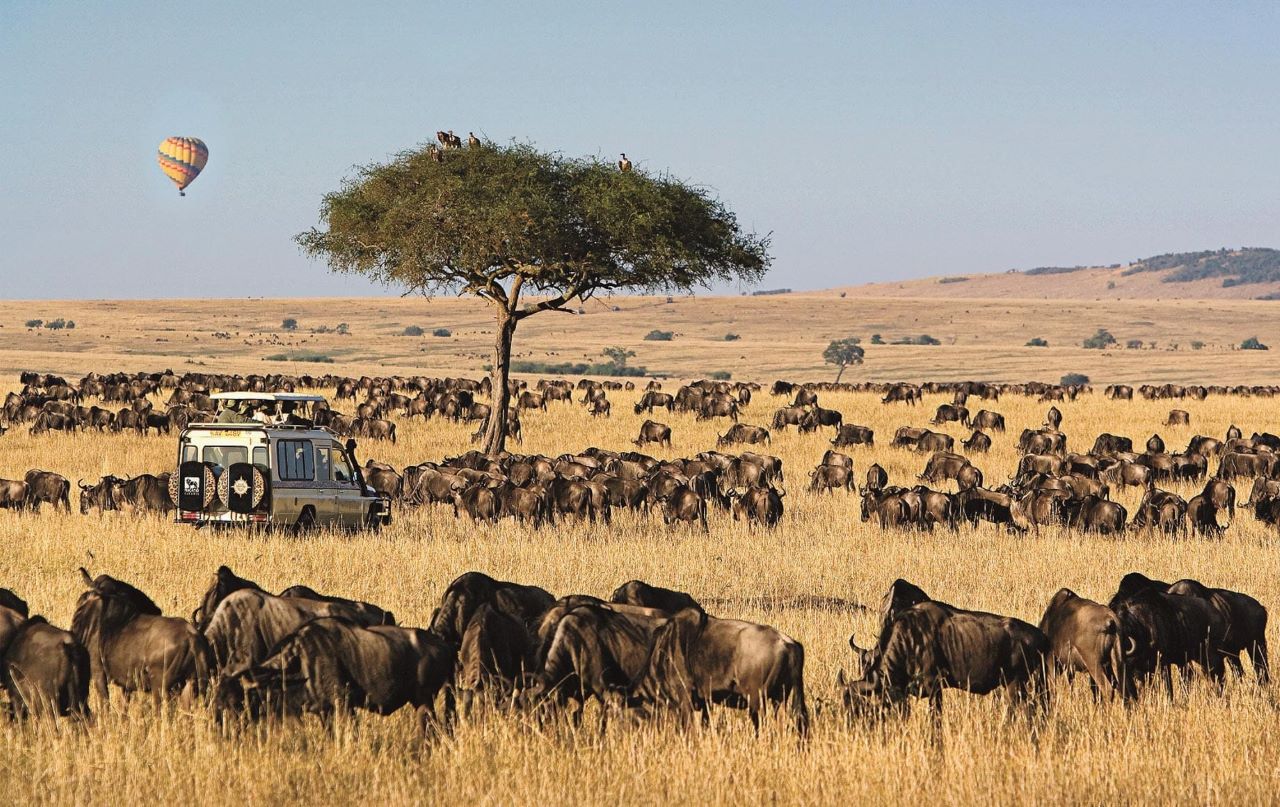 AFRICAN ROUTE SAFARIS LTD.