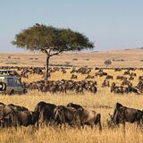 AFRICAN ROUTE SAFARIS LTD.