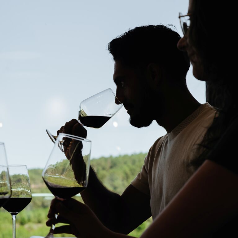 Martha's Wines and Spirits