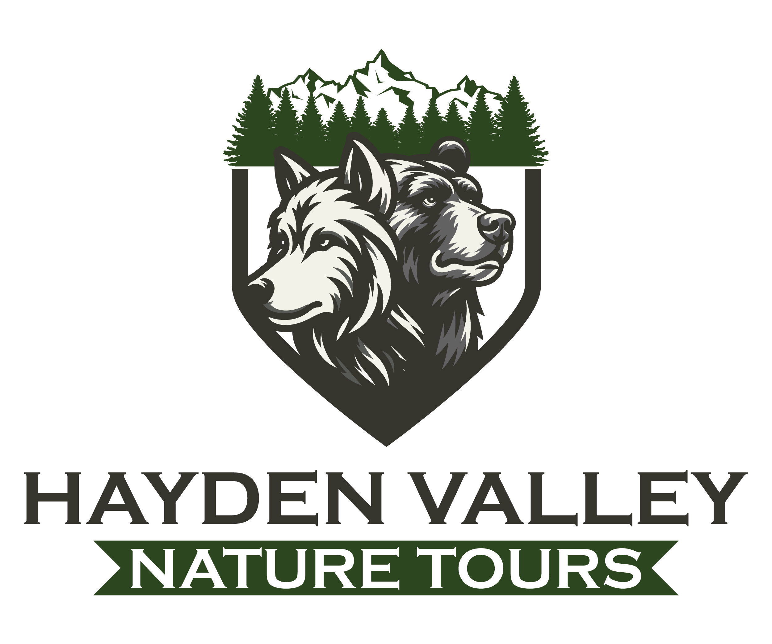 Hayden Valley Nature tours