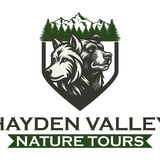 Hayden Valley Nature tours