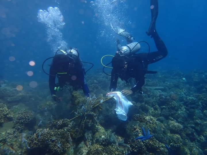 Bondalem Eco Dive