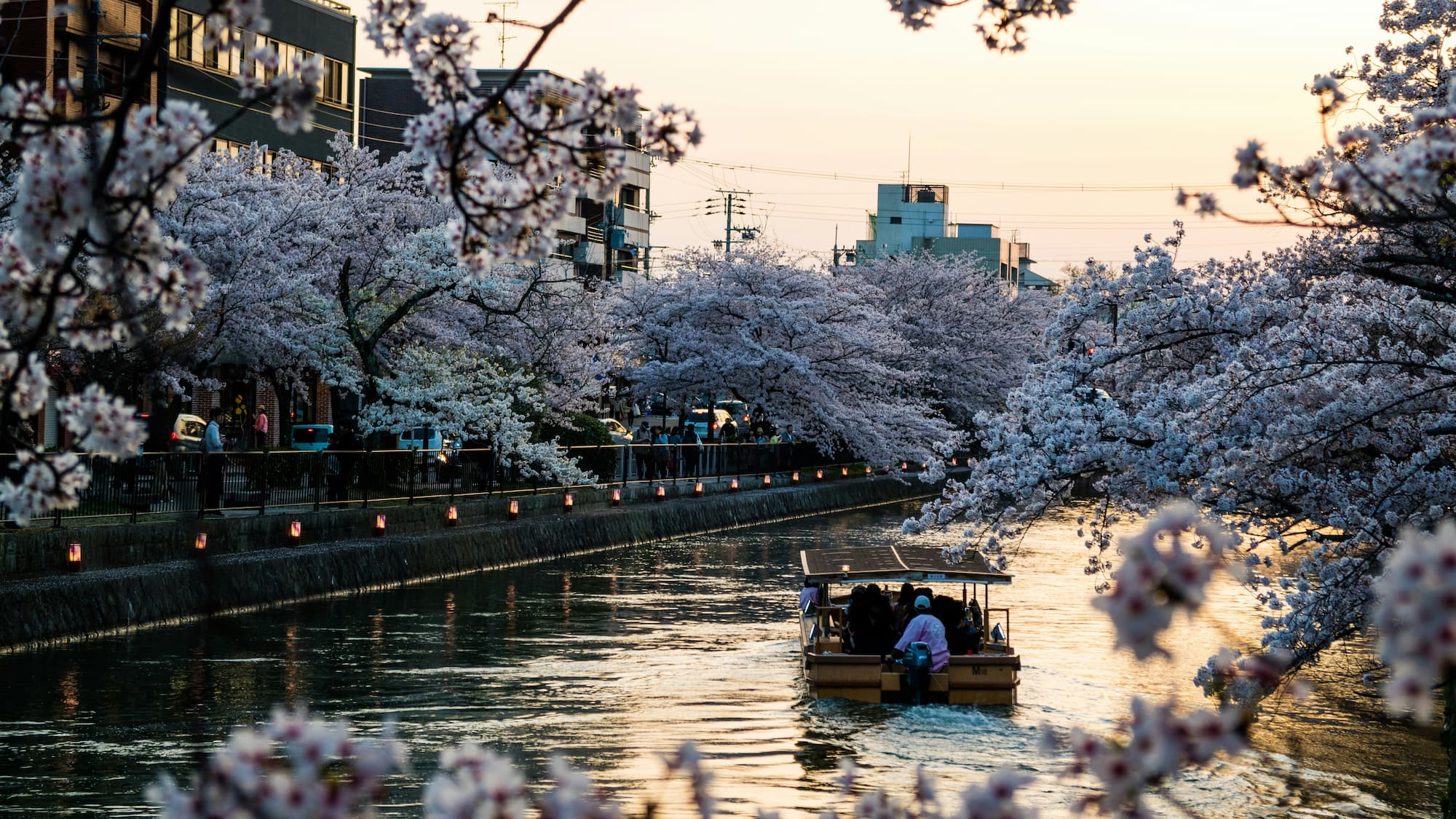 Local guide in Kyoto, Japan