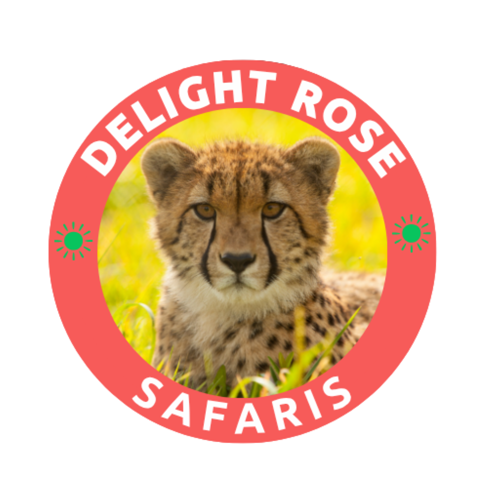 DELIGHT ROSE SAFARIS
