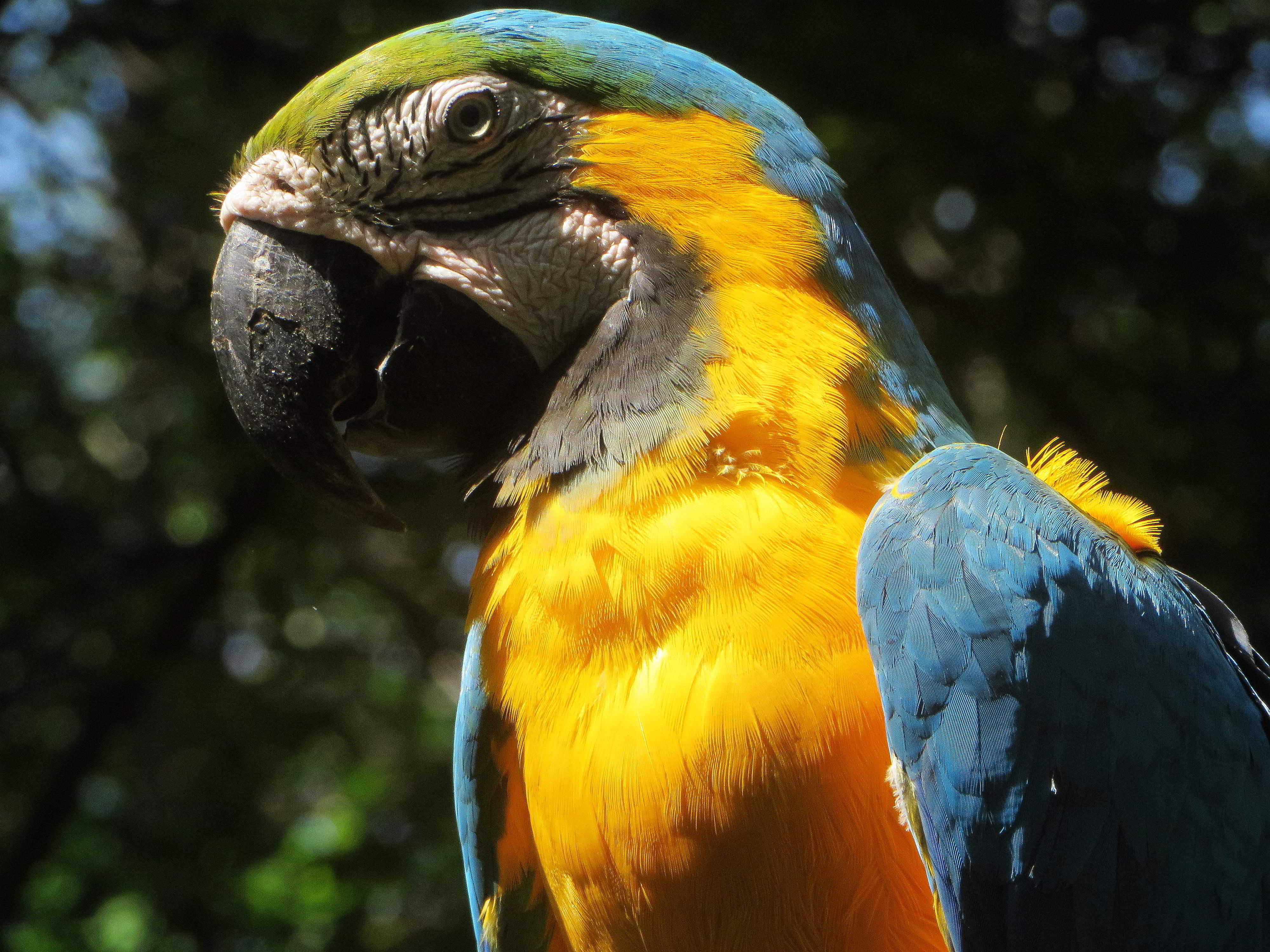 CUYABENO LODGE, WORLD FAMOUS