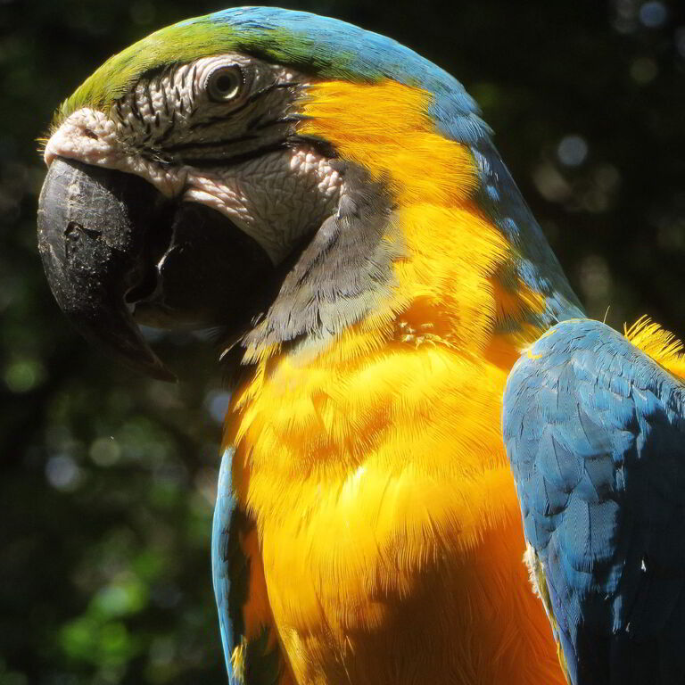 CUYABENO LODGE, WORLD FAMOUS