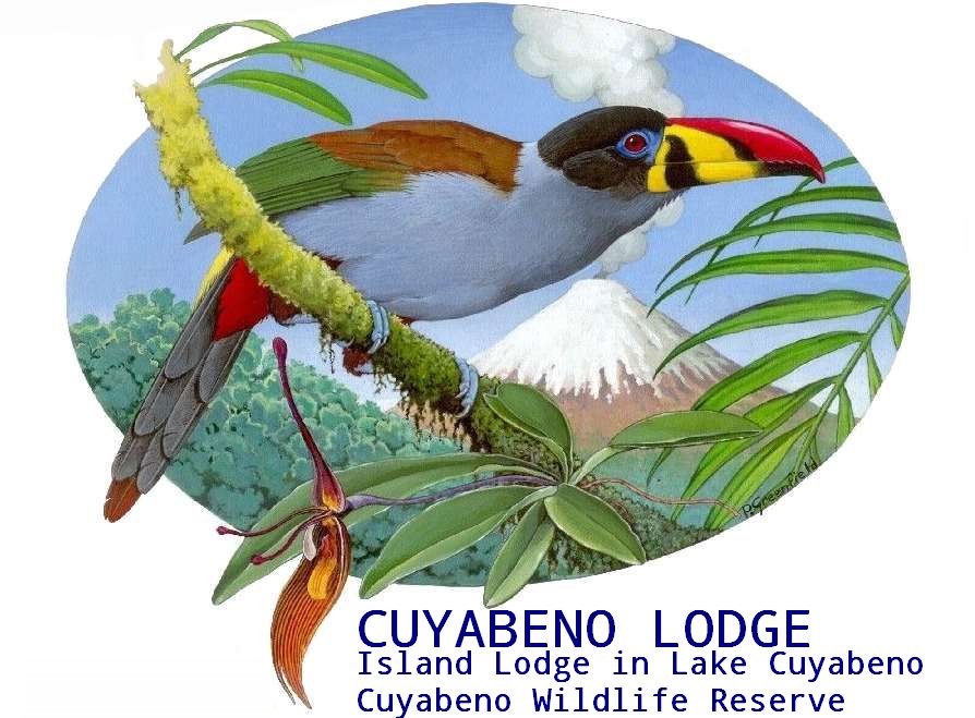 CUYABENO LODGE, WORLD FAMOUS