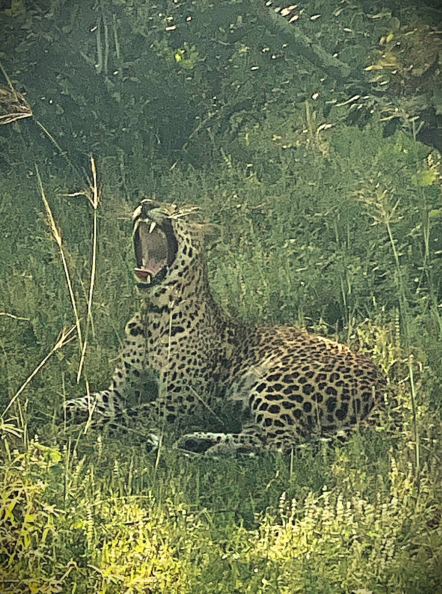 Super Tour Arugambay