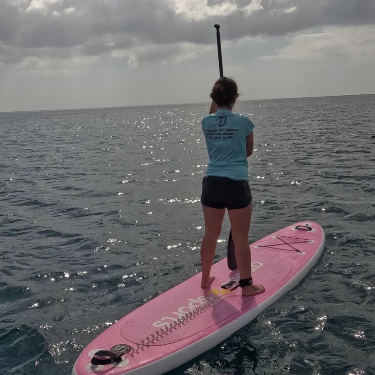 OCEAN QUEST