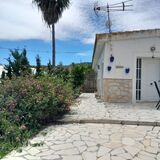 La Rana Azul