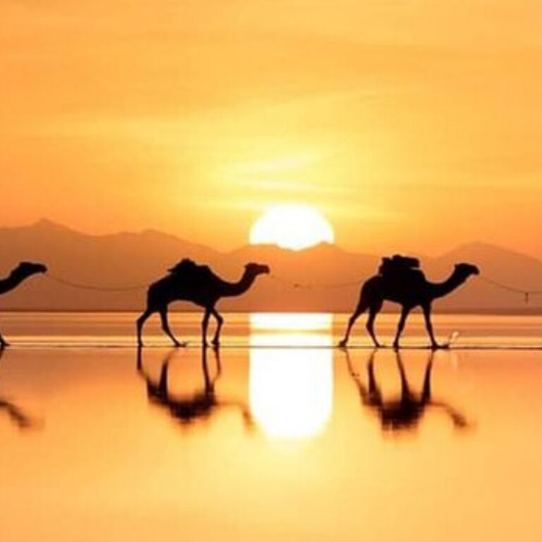 3 Days Danakil Depression tour